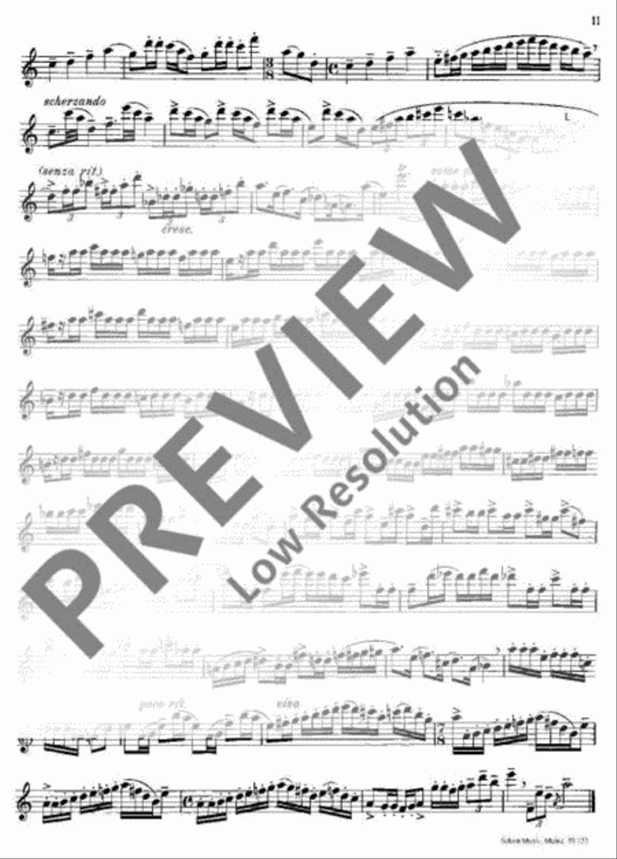 Virtuosic Suite Virtuosic Suite Flute scores gallery preview page 12