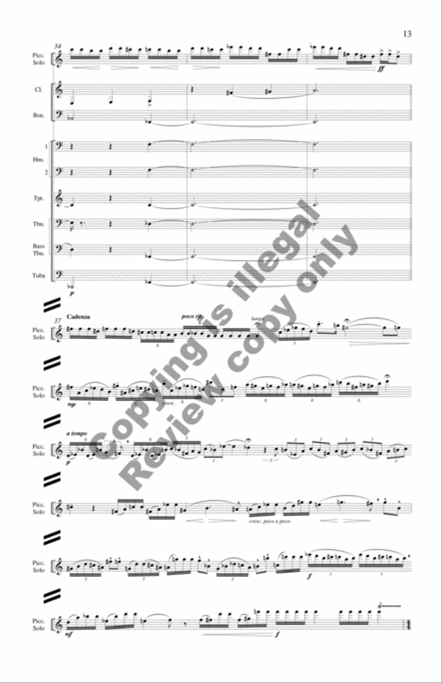 Concerto for Piccolo Solo and Chamber Orchestra (Additional Full Score) Chamber Orchestra scores gallery preview page 14