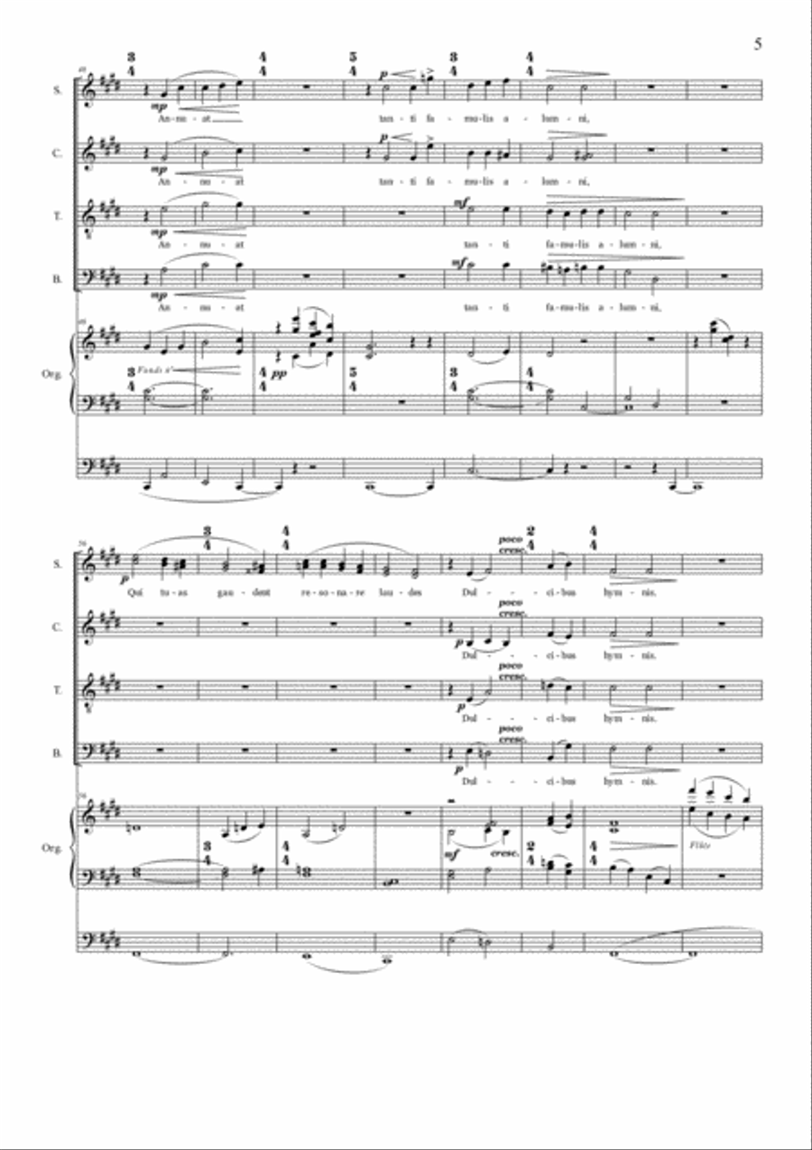 Stefano Maria Torchio: Consul æterni 4-Part scores gallery preview page 5