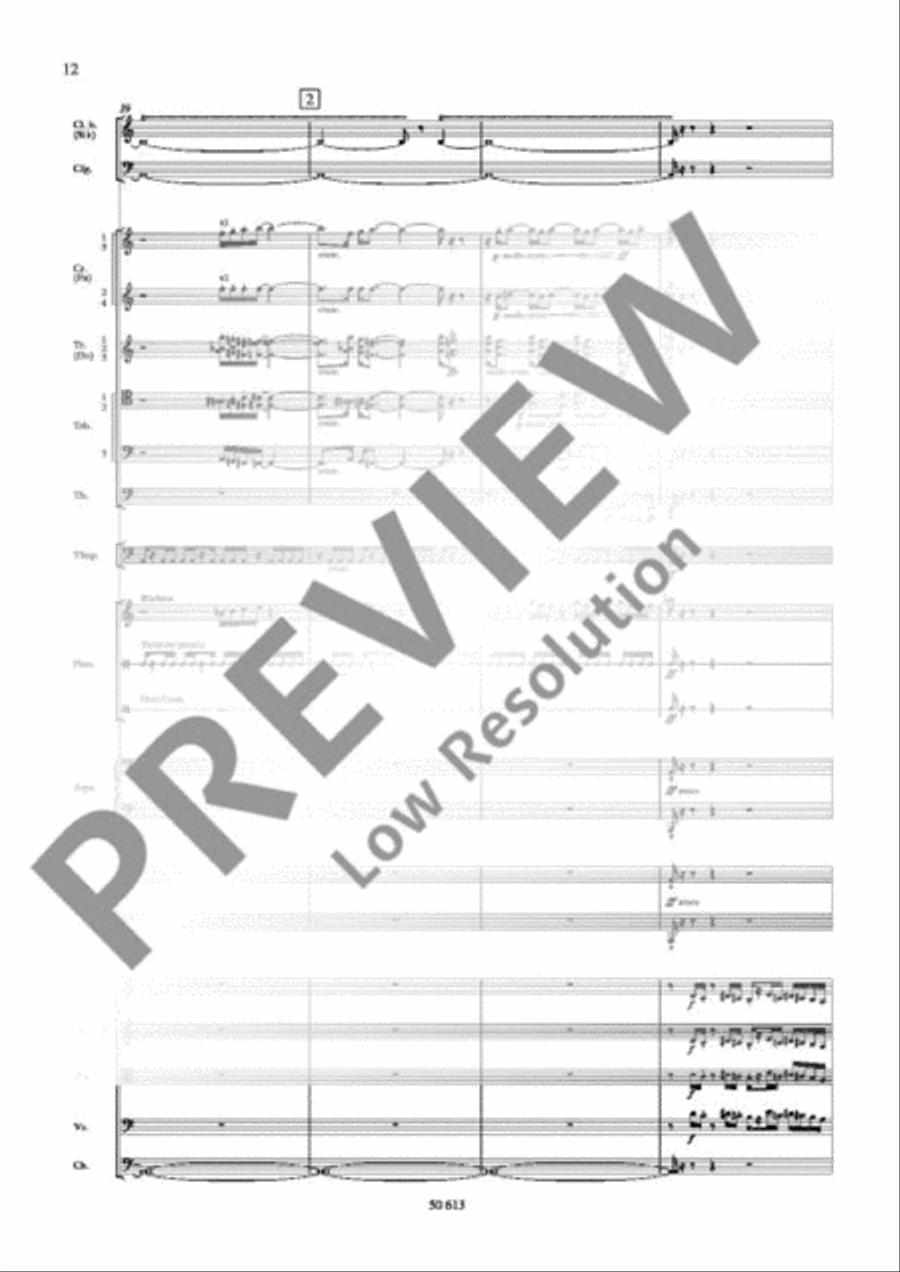 1. Symphony Orchestra scores gallery preview page 13