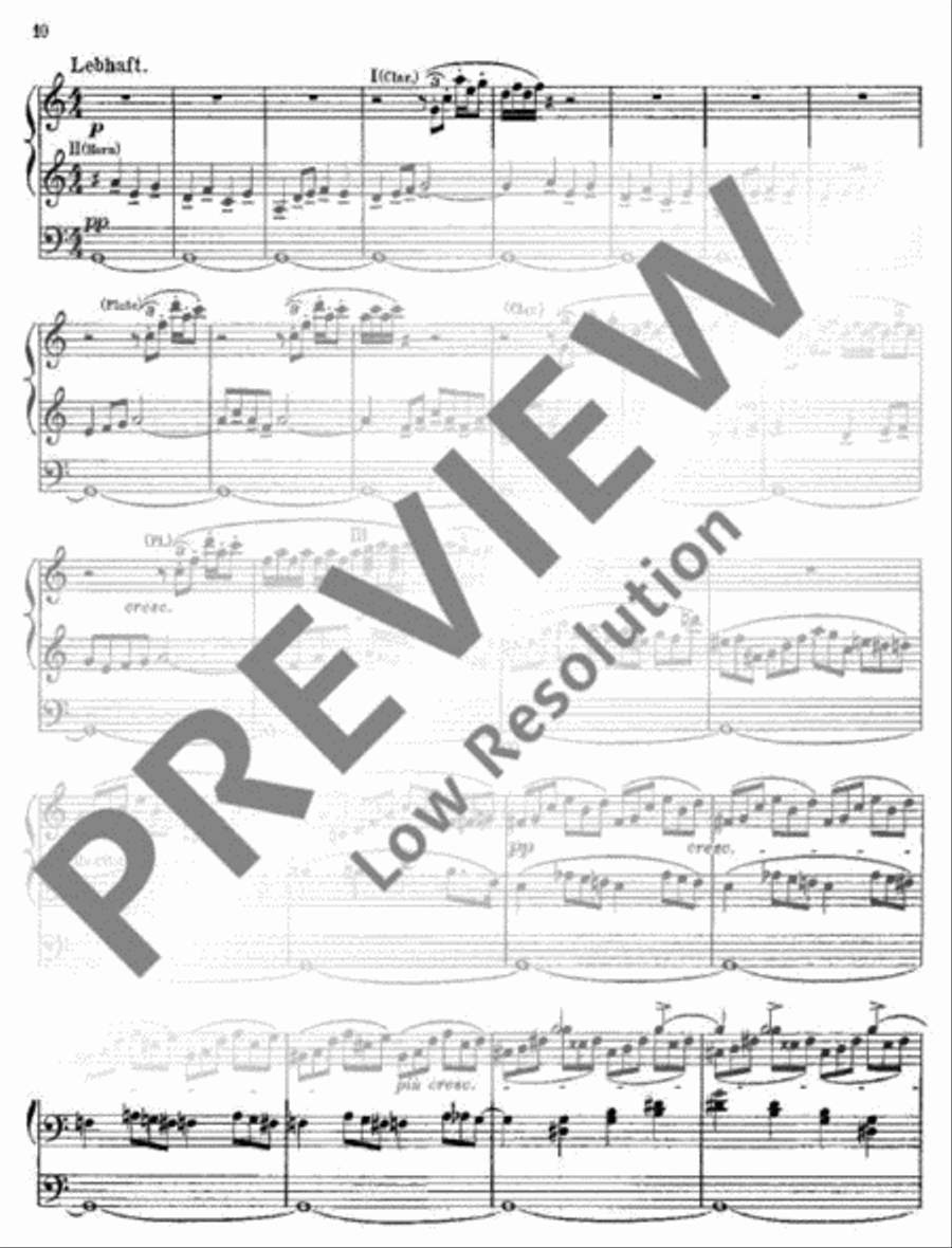 Siegfried-Idyll Organ scores gallery preview page 11