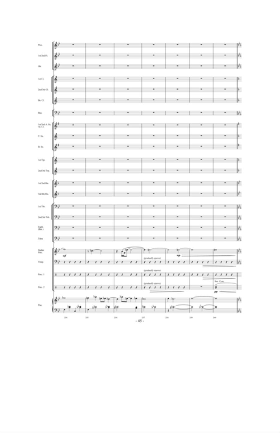 Promising Skies Concert Band scores gallery preview page 44