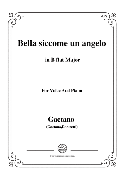 Donizetti-Bella siccome un angelo in B flat Major, for Voice and Piano image number null