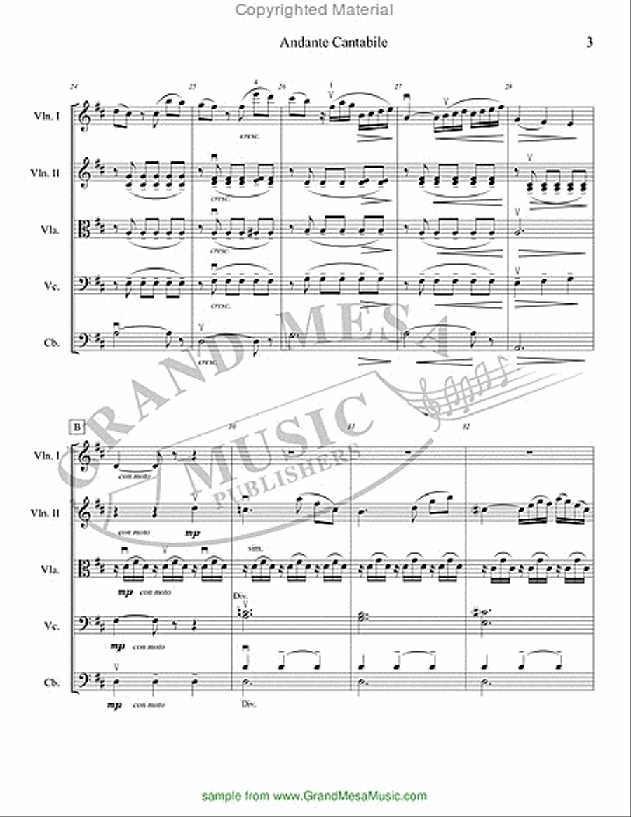 Andante Cantabile from Petite Symphony String Orchestra scores gallery preview page 4