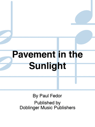 Pavement in the Sunlight