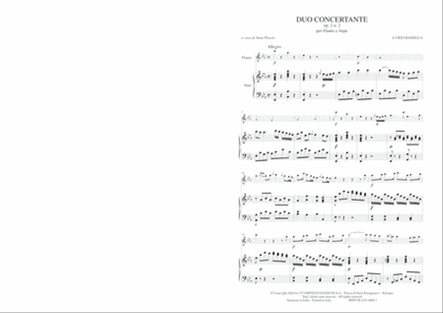 Duo Concertante Op. 2 No. 2 for Flute and Harp Flute scores gallery preview page 2