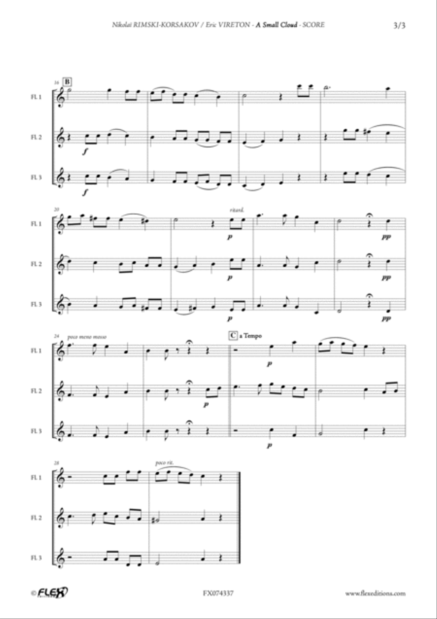 A Small Cloud Flute Trio scores gallery preview page 3