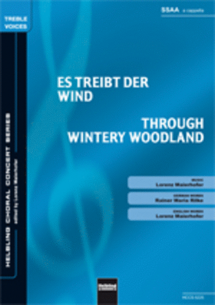 Es treibt der Wind/Through wintery woodland