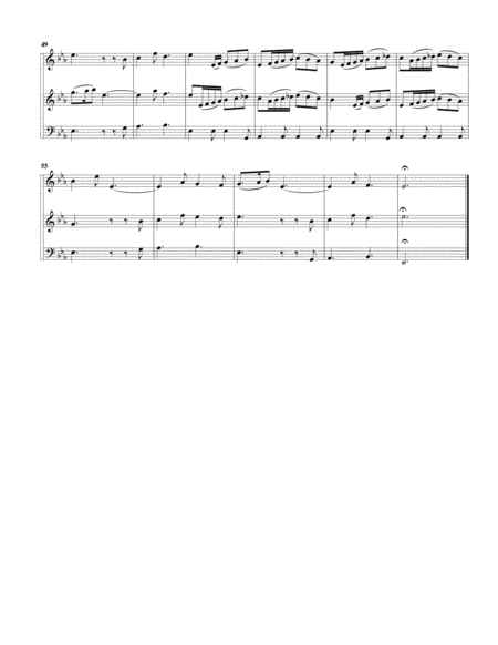 Trio sonata QV 2 Anh.10 for 2 flutes and continuo in E flat major