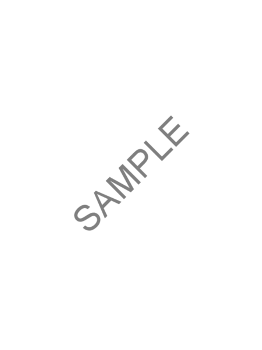 Brevard Sketches - Score String Orchestra scores gallery preview page 2