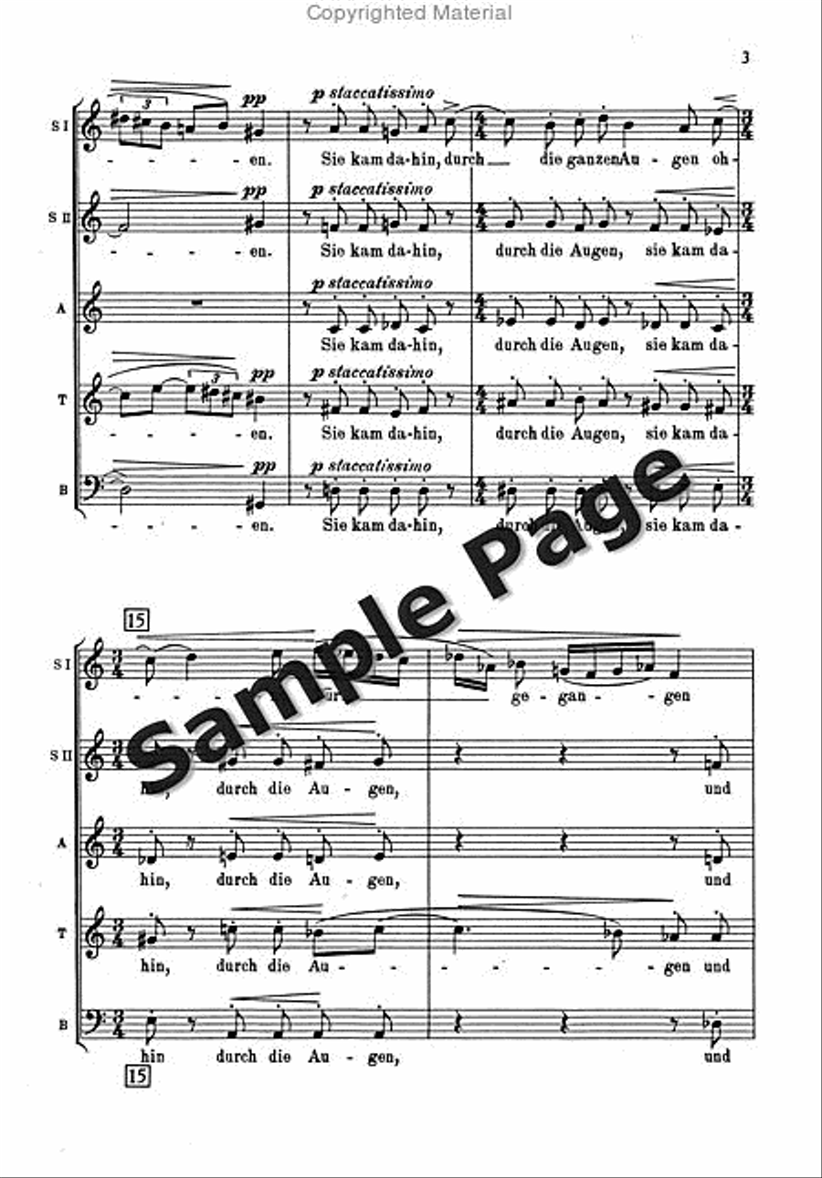 Der Liebe Schrein Op.33/4 SSATB scores gallery preview page 4