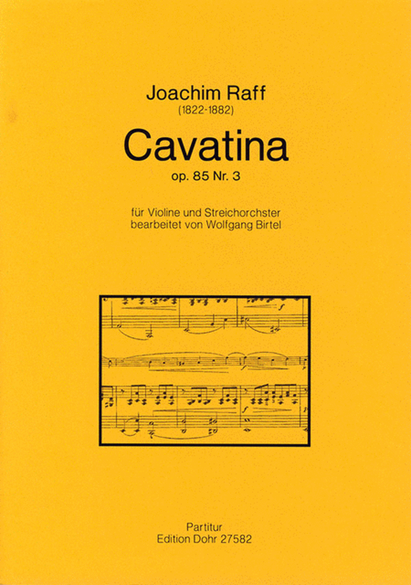Cavatina für Violine und Streichorchester op. 85/3