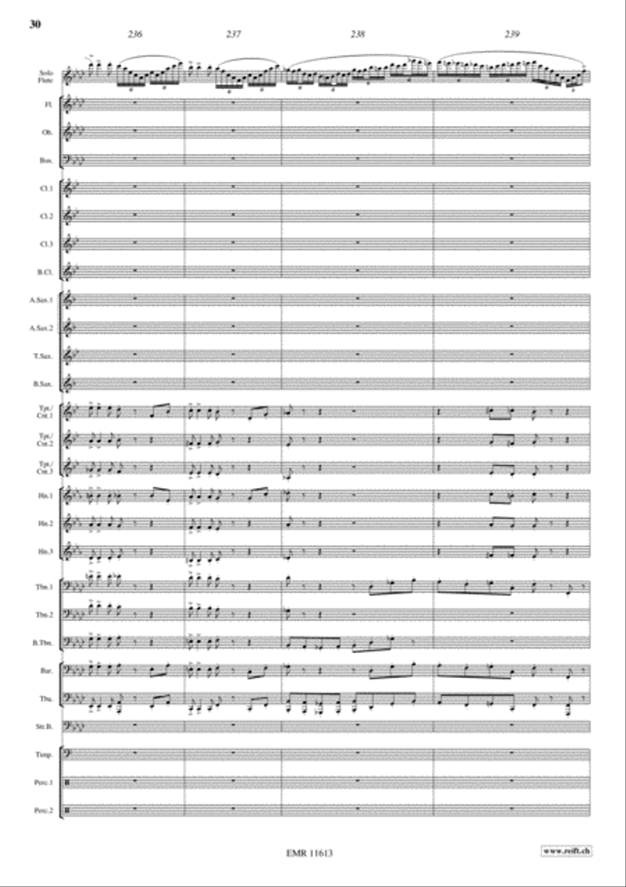 Carmen Fantasy Carmen Fantasy Concert Band scores gallery preview page 31