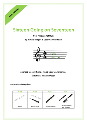Book cover for Sixteen Going On Seventeen
