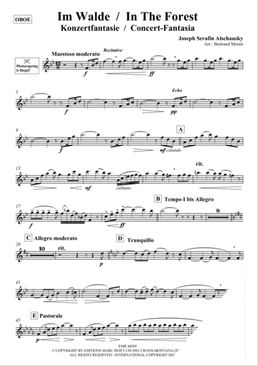 Im Walde / In The Forest Piano Accompaniment scores gallery preview page 3