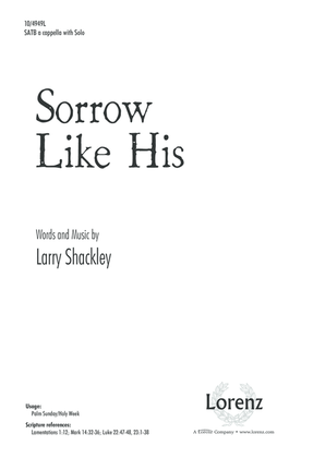 Book cover for Sorrow Like His