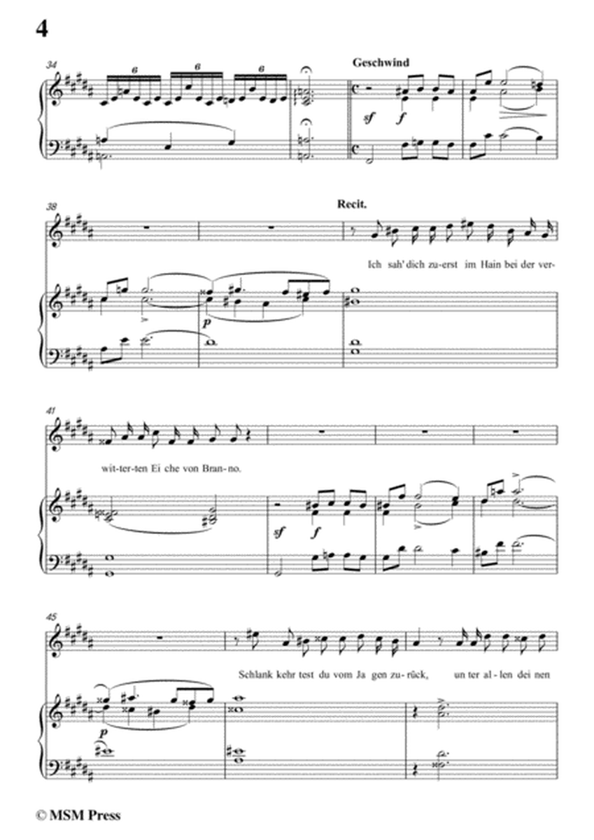 Schubert-Shilrik und Vinvela,in B Major,for Voice&Piano image number null