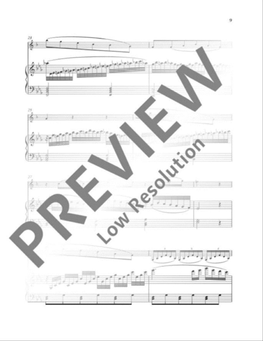 Larghetto Clarinet Solo scores gallery preview page 4