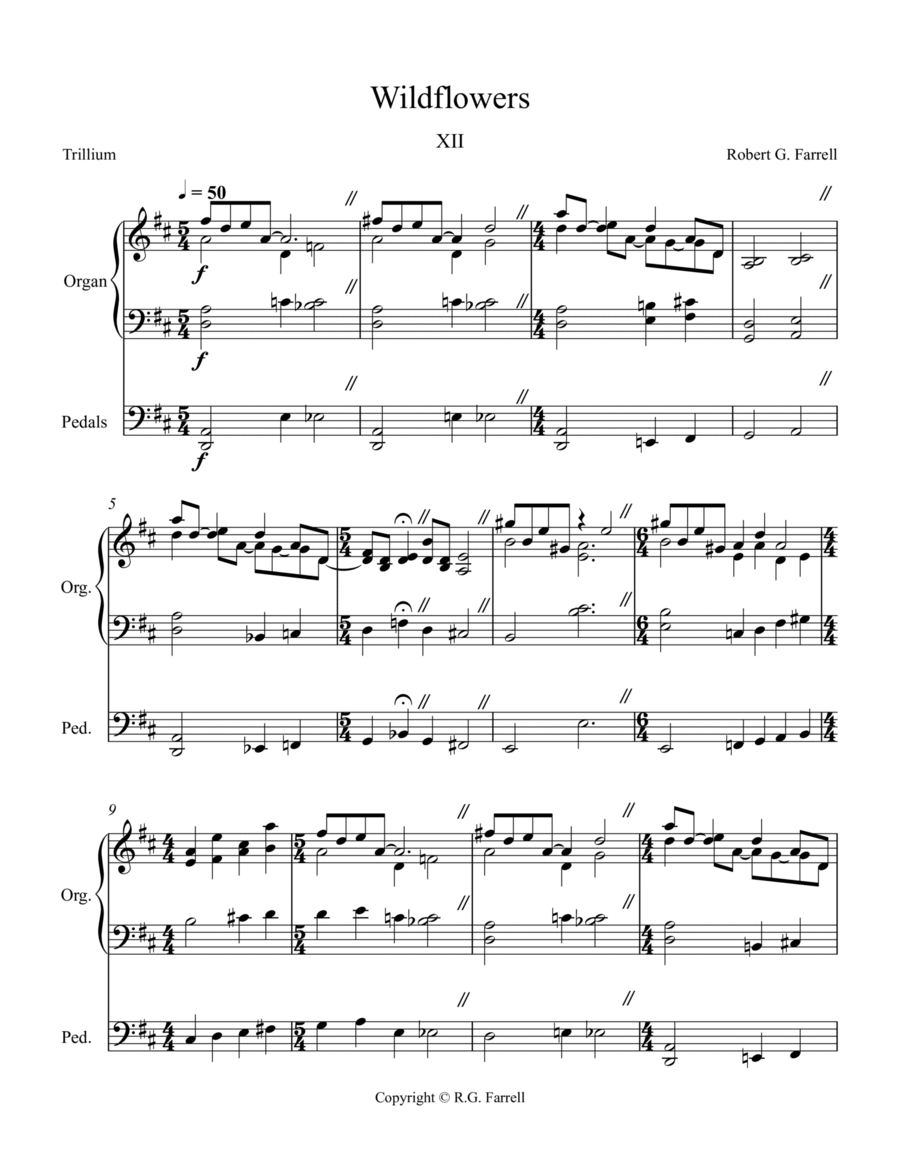 Wildflowers #12 Organ Solo scores gallery preview page 1