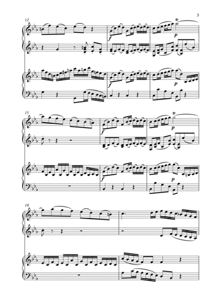 Concerto in C minor for Oboe and Violin (BWV 1060) - 1st Movt - arranged for 2 pianos image number null