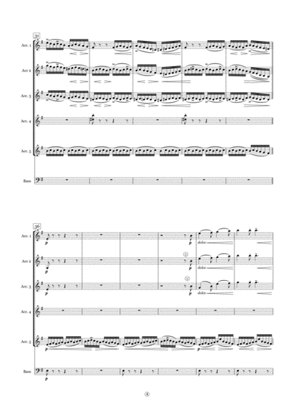 THE MOLDAU B. Smetana (Accordion orchestra sheet music full score and parts) image number null