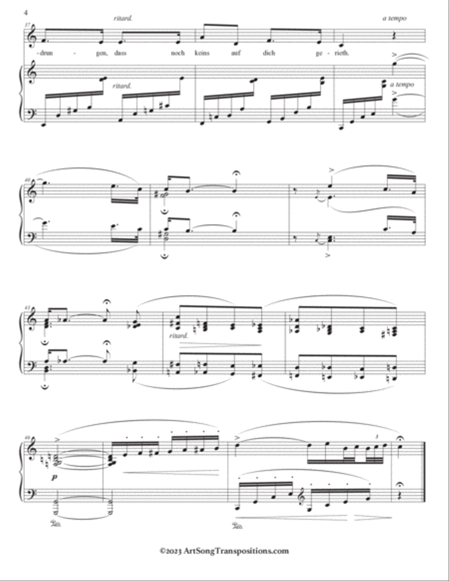 SCHUMANN: Stille Liebe, Op. 35 no. 8 (transposed to C major, B major, and B-flat major) Voice scores gallery preview page 5