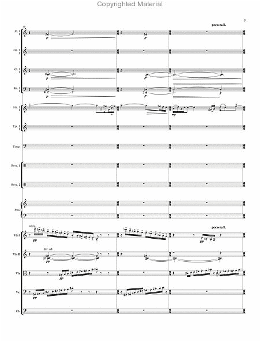 Concerto Concerto Chamber Orchestra scores gallery preview page 3
