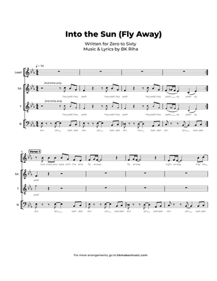 Book cover for Into the Sun (Fly Away)