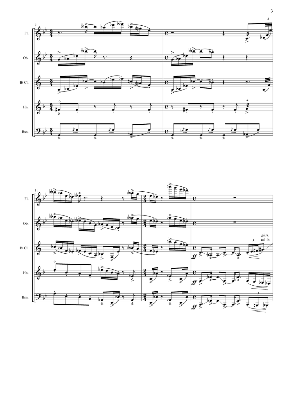 Arachnophobia, for wind quintet - score Woodwind Quintet scores gallery preview page 3
