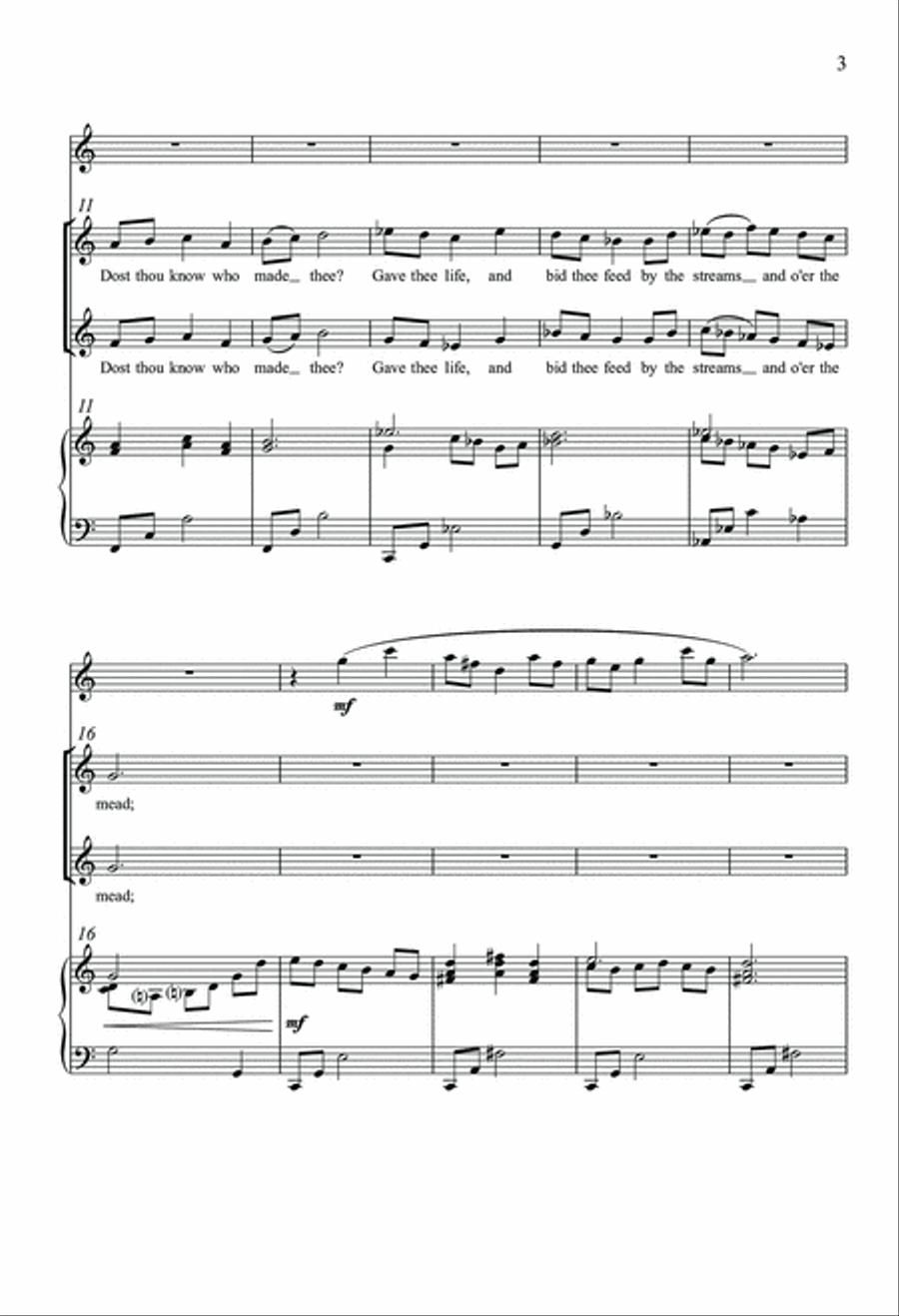 Little Lamb SA scores gallery preview page 3