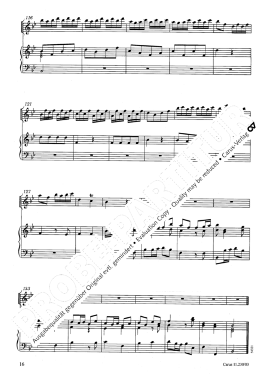 Concerto in B flat major Concerto in B flat major Recorder scores gallery preview page 17