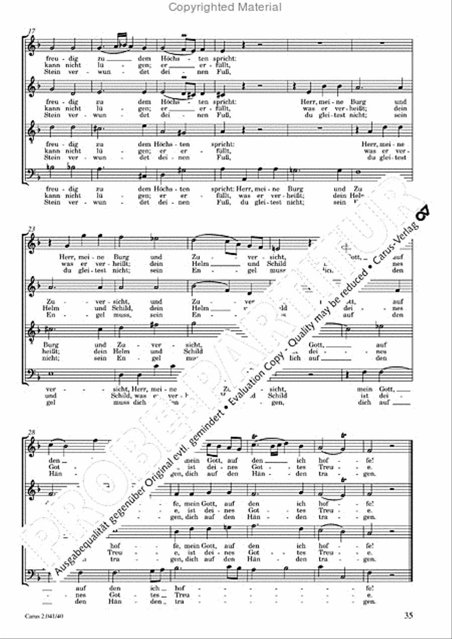 Motets and arias for choirs collected and edited by Johann Adam Hiller, vol. 4 Voice Solo scores gallery preview page 36