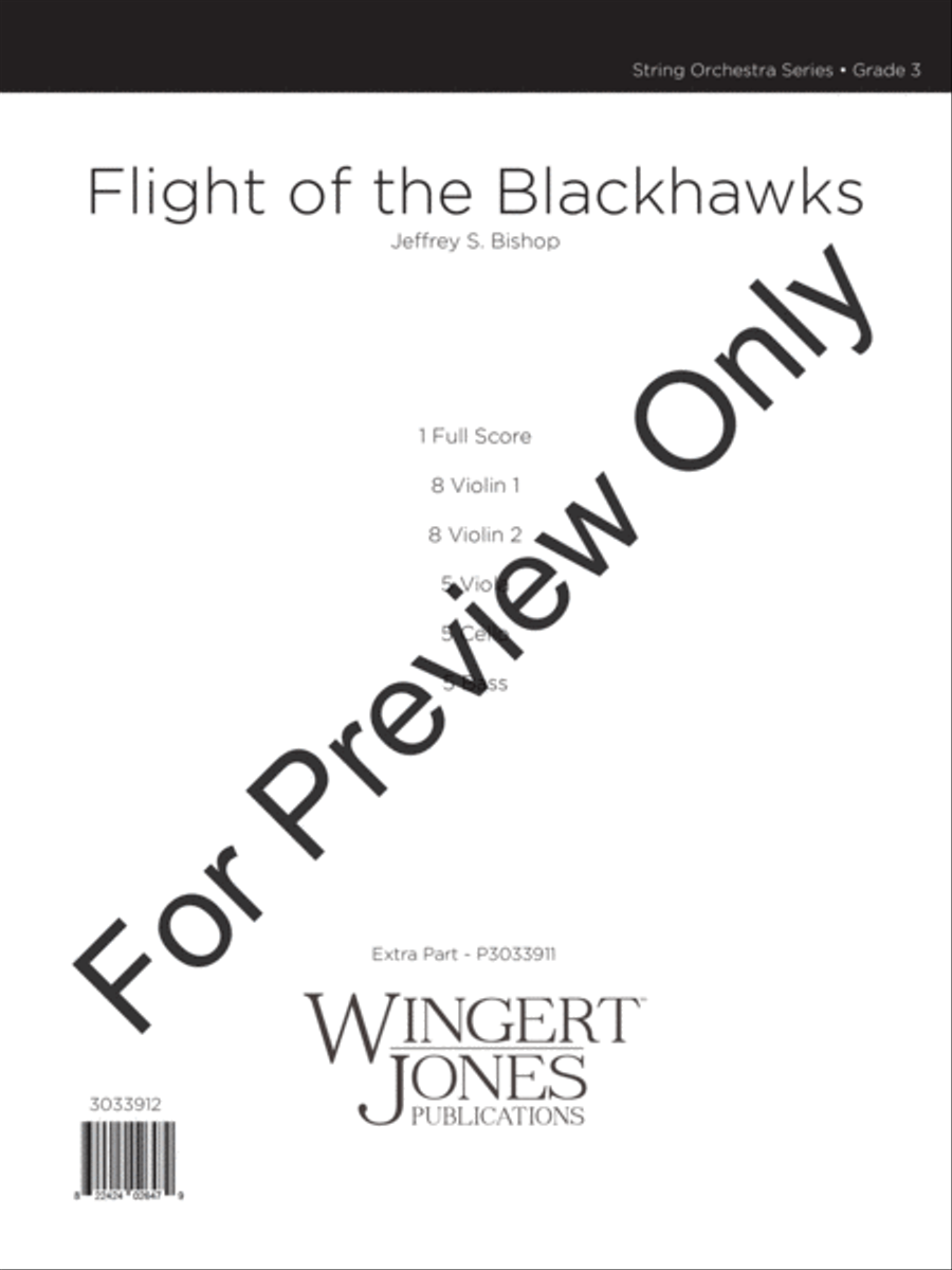Flight of the Blackhawks Flight of the Blackhawks String Orchestra scores gallery preview page 2