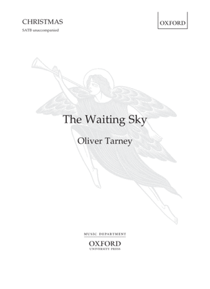 Book cover for The Waiting Sky