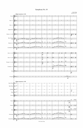 Book cover for Symphony No. 30 Score and parts