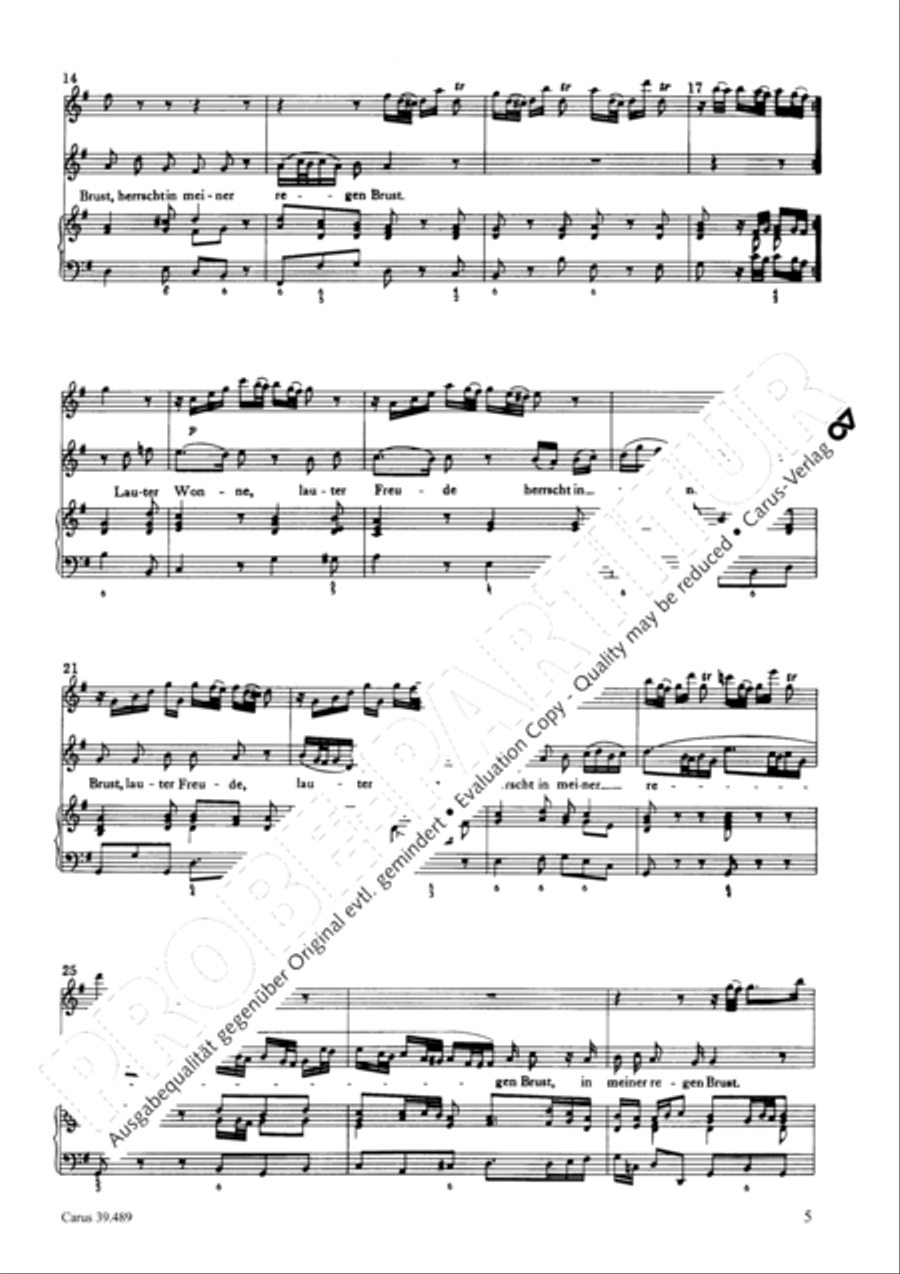 Lauter Wonne, lauter Freude Recorder scores gallery preview page 5