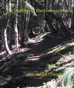 Book cover for The Shadows Of The Evening Hours