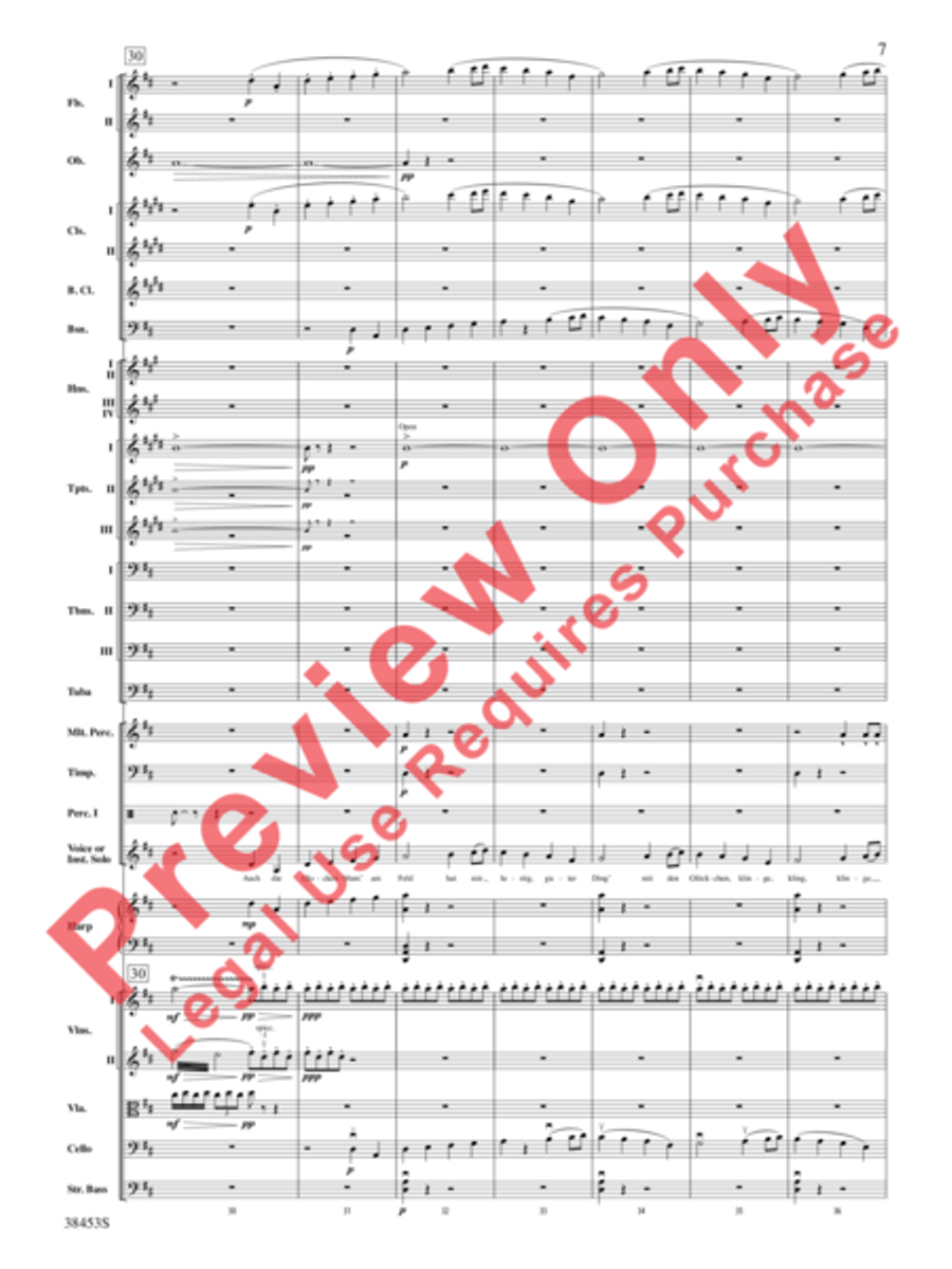 Ging heut Morgen übers Feld Full Orchestra scores gallery preview page 8
