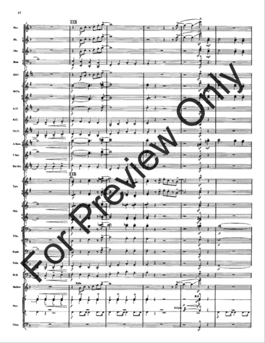 Spirit Of Texas (Score) Spirit Of Texas (Score) Concert Band scores gallery preview page 18