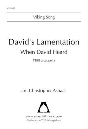 Book cover for David's Lamentation