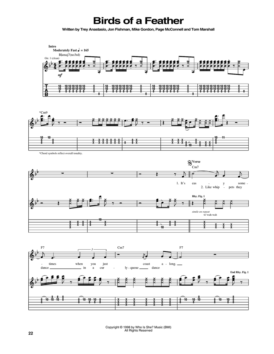 Birds Of A Feather Acoustic Guitar scores gallery preview page 1