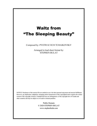 Book cover for Sleeping Beauty Waltz (Tchaikovsky) - Lead sheet in original key of F