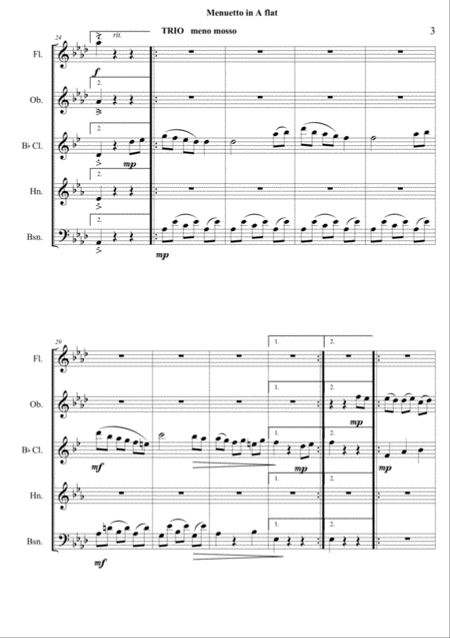 HAYDN- Menuetto from Piano Sonata Hob. 16: 43 Woodwind Quintet scores gallery preview page 4
