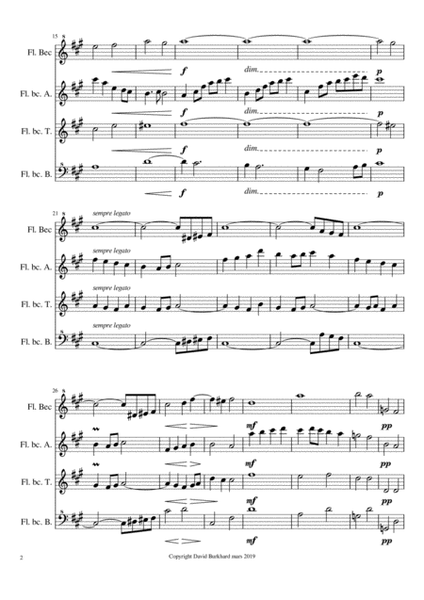 César Franck - Quasi Marcia Op. 22 (4 recorders) image number null