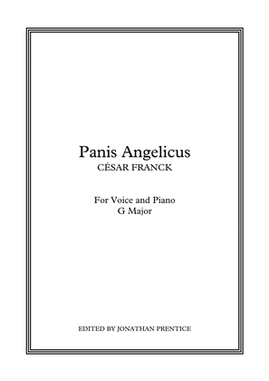 Book cover for Panis Angelicus (G Major)