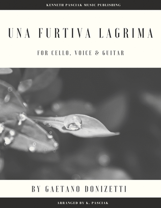 Una furtiva lagrima (for Voice, Cello and Guitar)