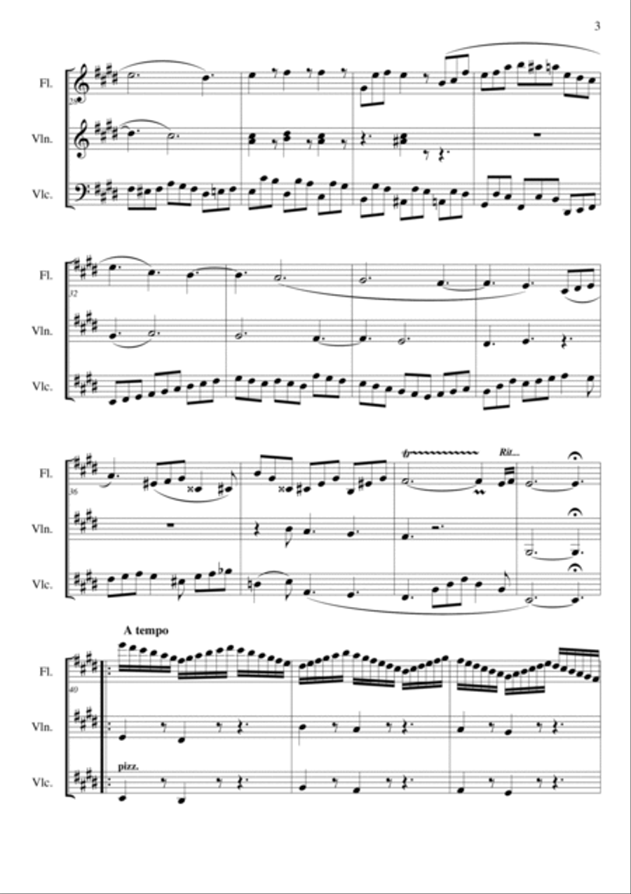 Trio in E Major For Flute Violin and Violoncello Flute scores gallery preview page 3