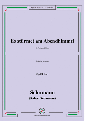 Book cover for Schumann-Es stürmet am Abendhimmel,Op.89 No.1,in f sharp minor