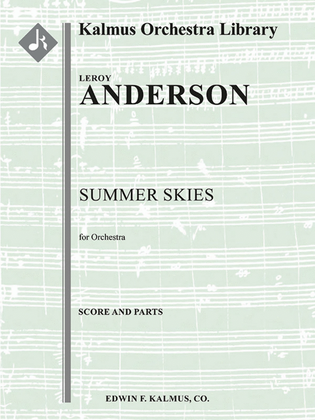 Book cover for Summer Skies