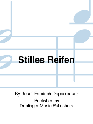 Book cover for Stilles Reifen